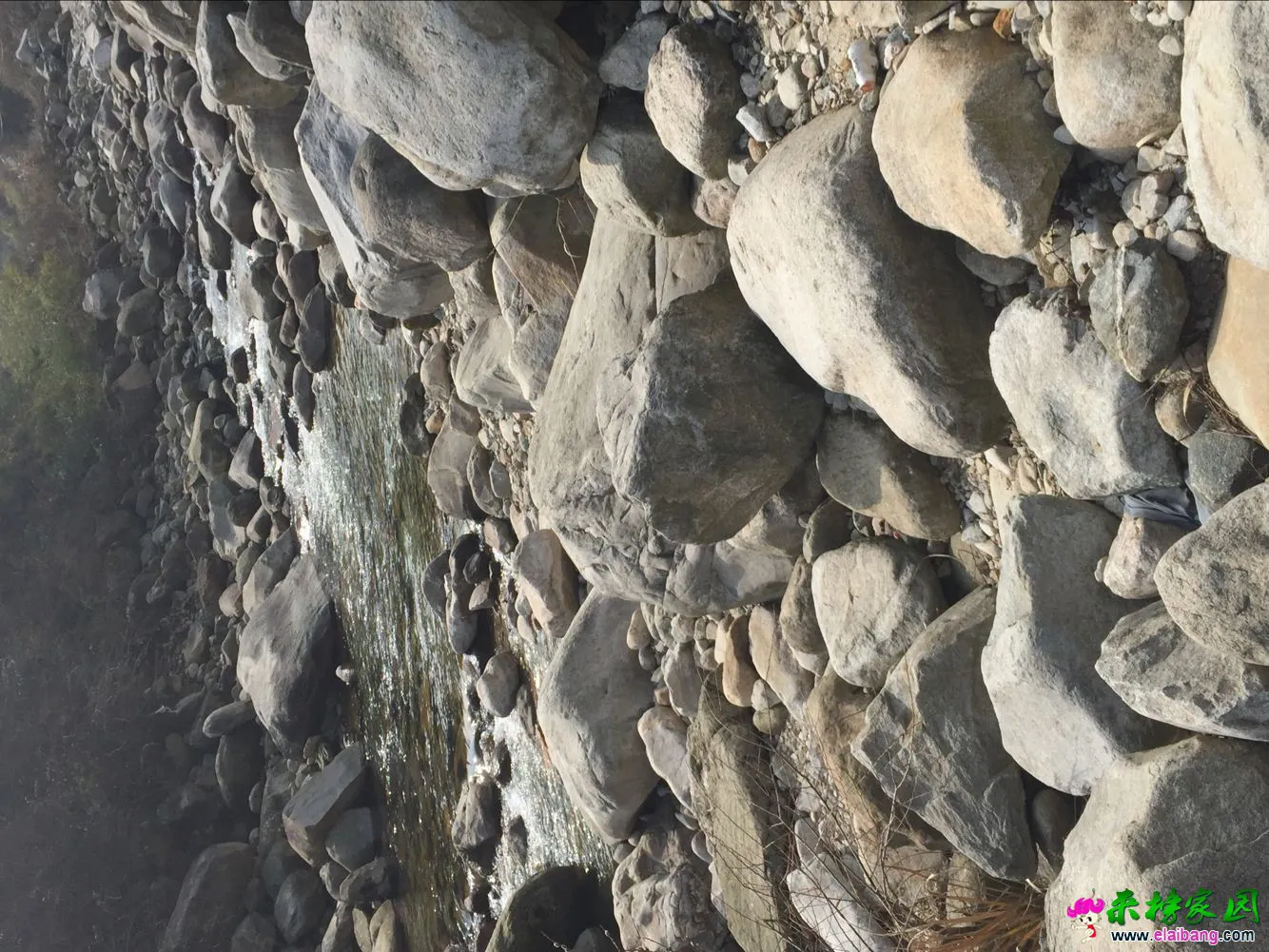 image.webp