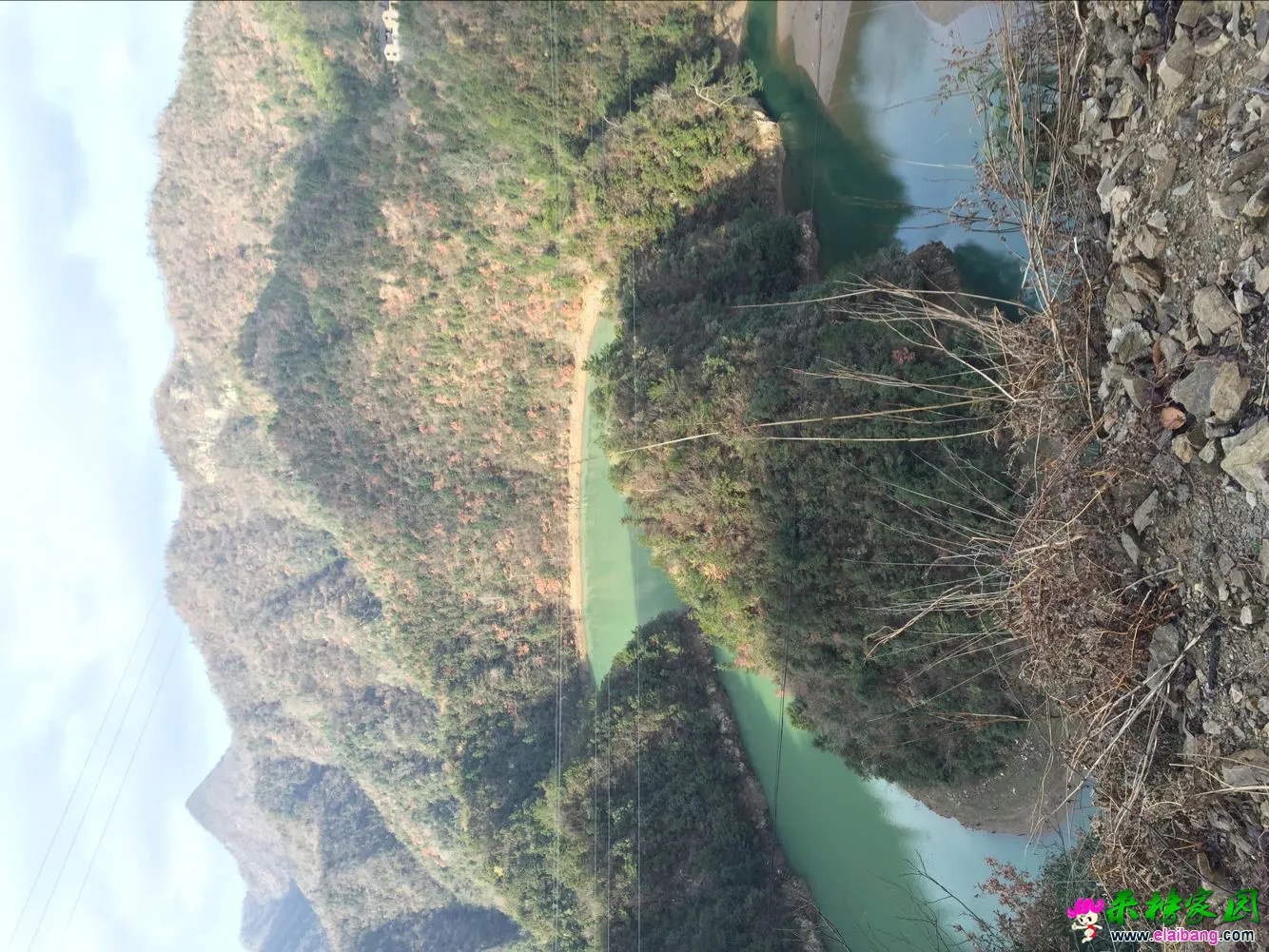 image.webp