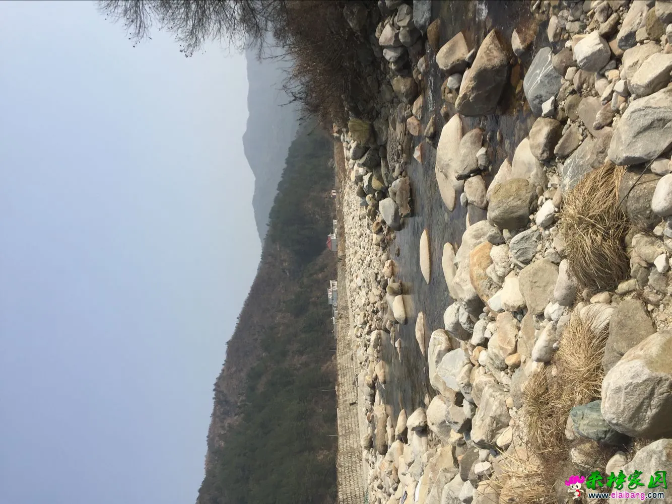 image.webp