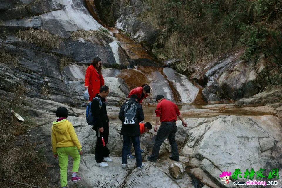 QQ图片200201011232472.webp