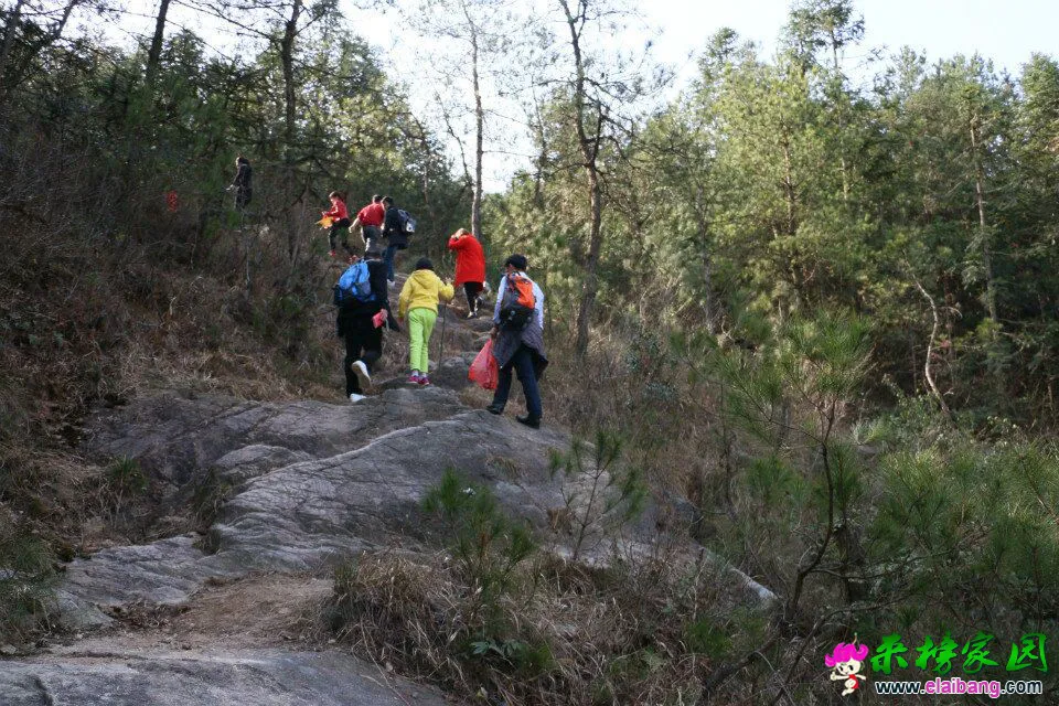 QQ图片200201011233123.webp