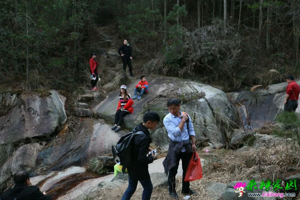 QQ图片200201011233274.webp