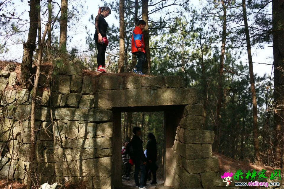 QQ图片200201011234185.webp