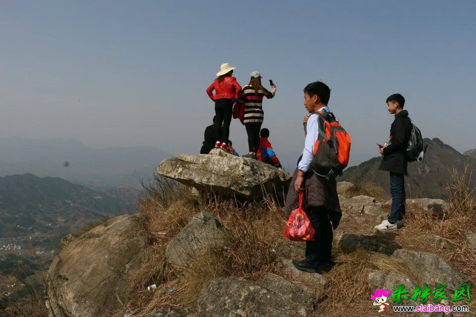 QQ图片2002010112353700.webp