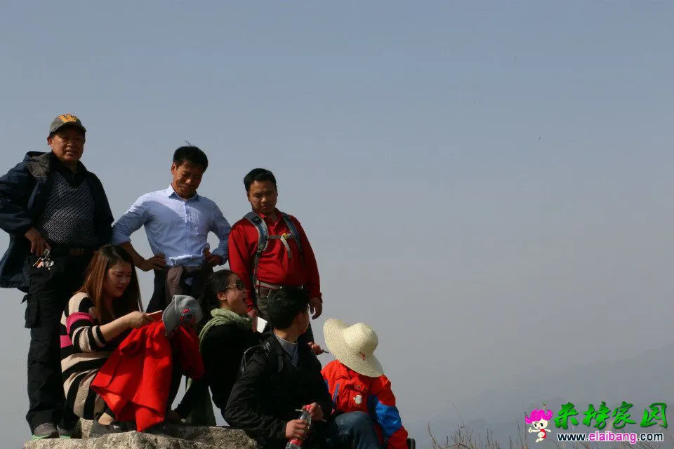 QQ图片2002010112362022.webp