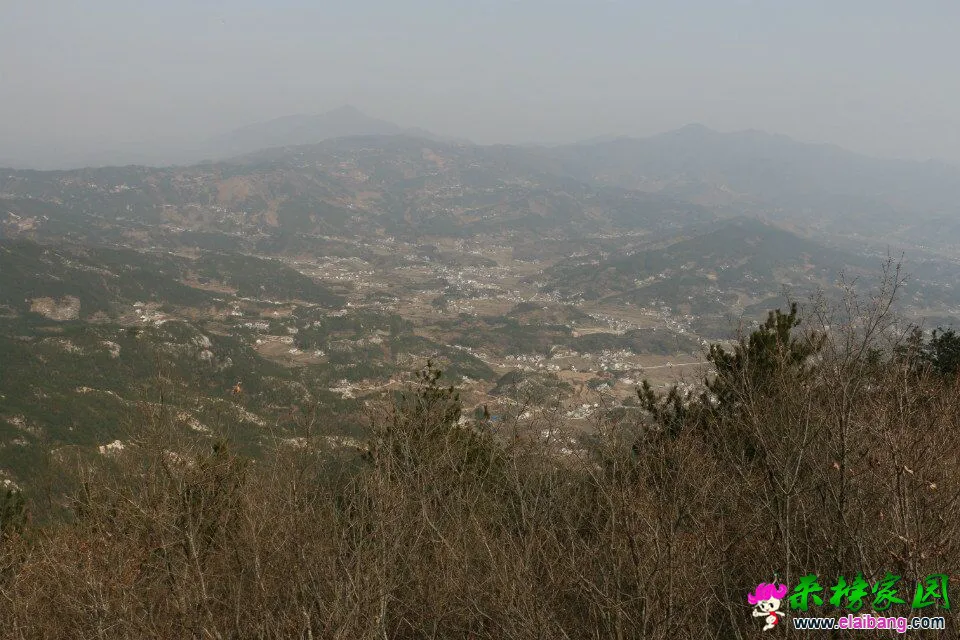 QQ图片2002010112380377.webp