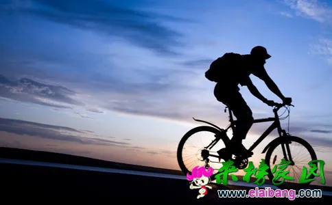 256_090540_1.webp