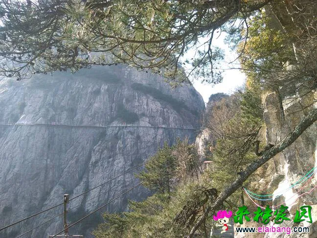 091222xb17xaiboccb1ss8.webp