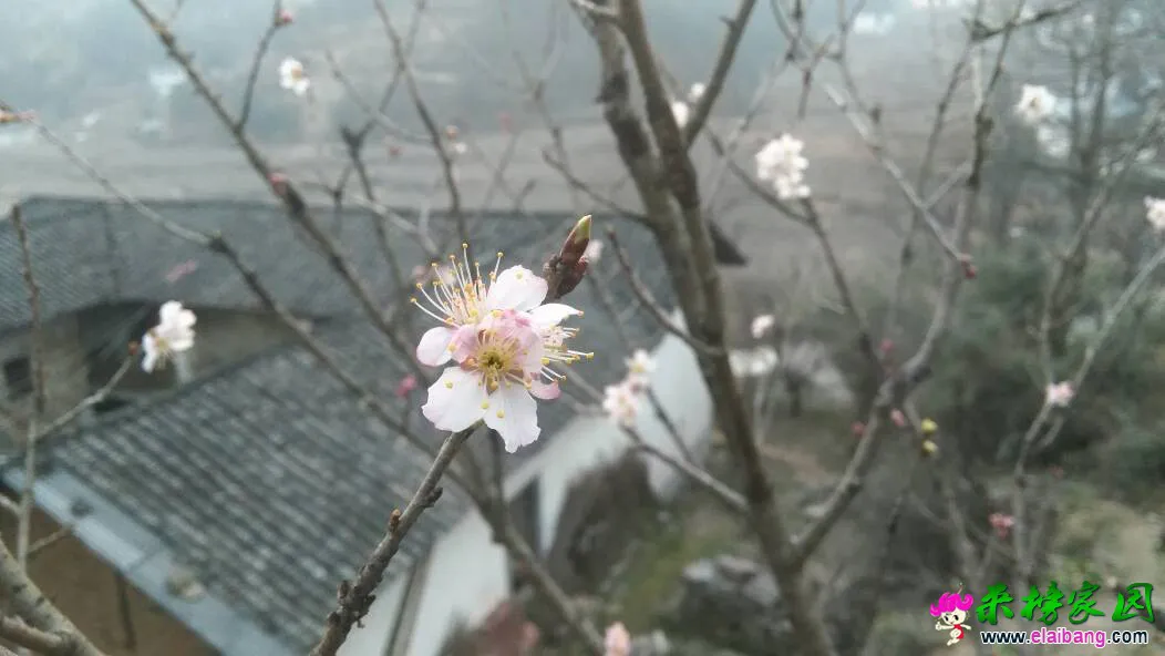 181919nzh5xs7z5sg7z5k6.webp
