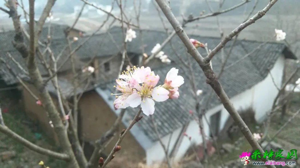 181919wm7g5emzwzmmmffz.webp