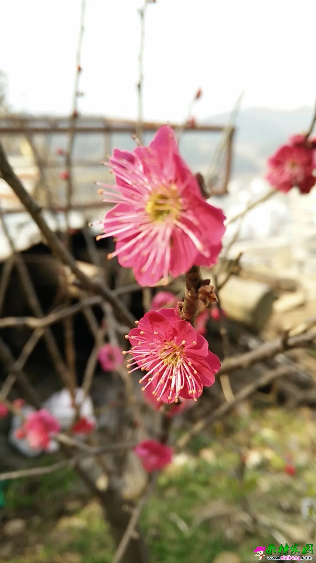 QQ图片20160304181536.webp
