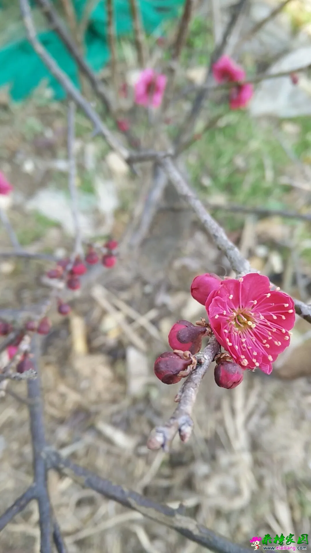 QQ图片20160304183116.webp