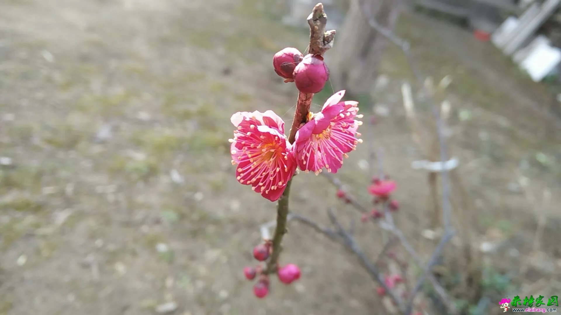 QQ图片20160304183121.webp