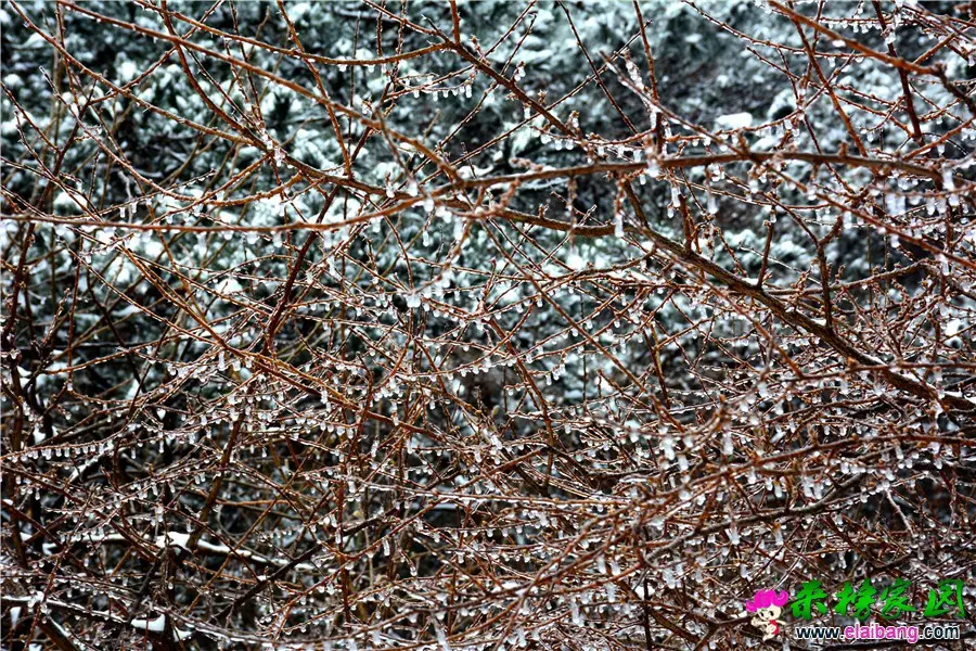 DSC_0956.webp
