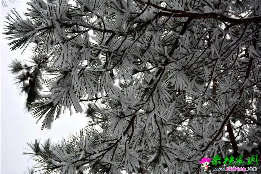 DSC_0966.webp