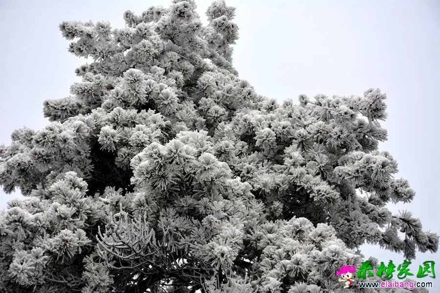 DSC_0982.webp