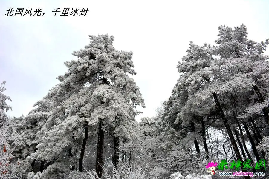 DSC_0985.webp