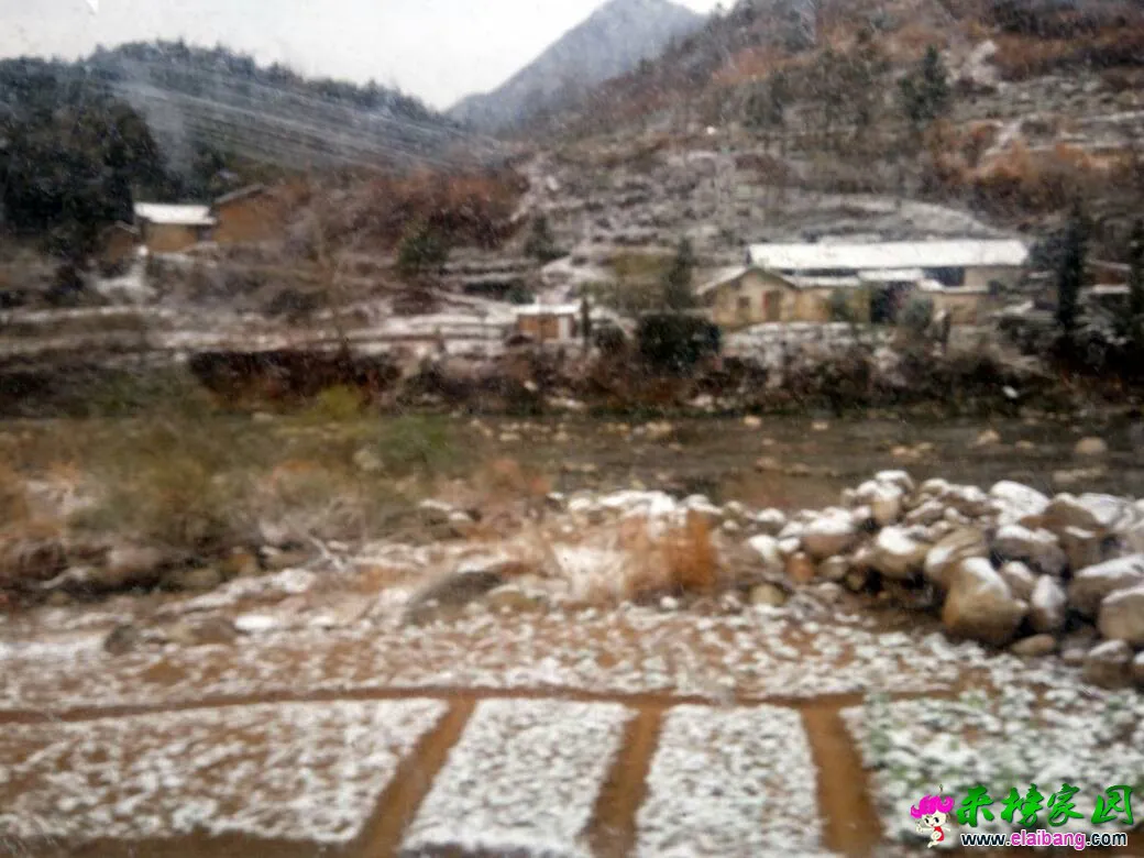 110350rgtlkwgncwswotom.webp