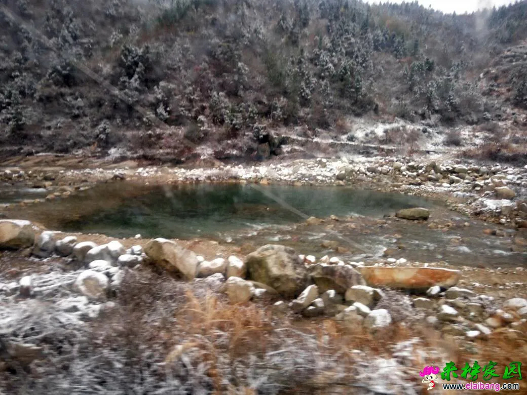 110351ardbqoh3d7ovkdor.webp