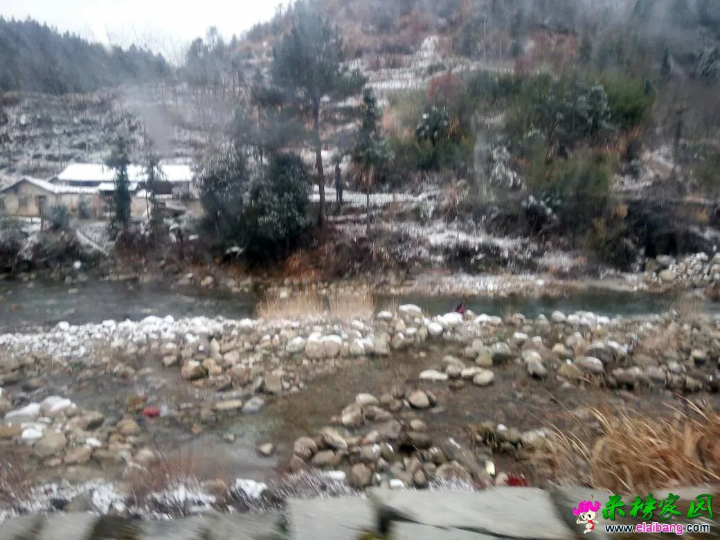 110351edml4suldx492duv.webp