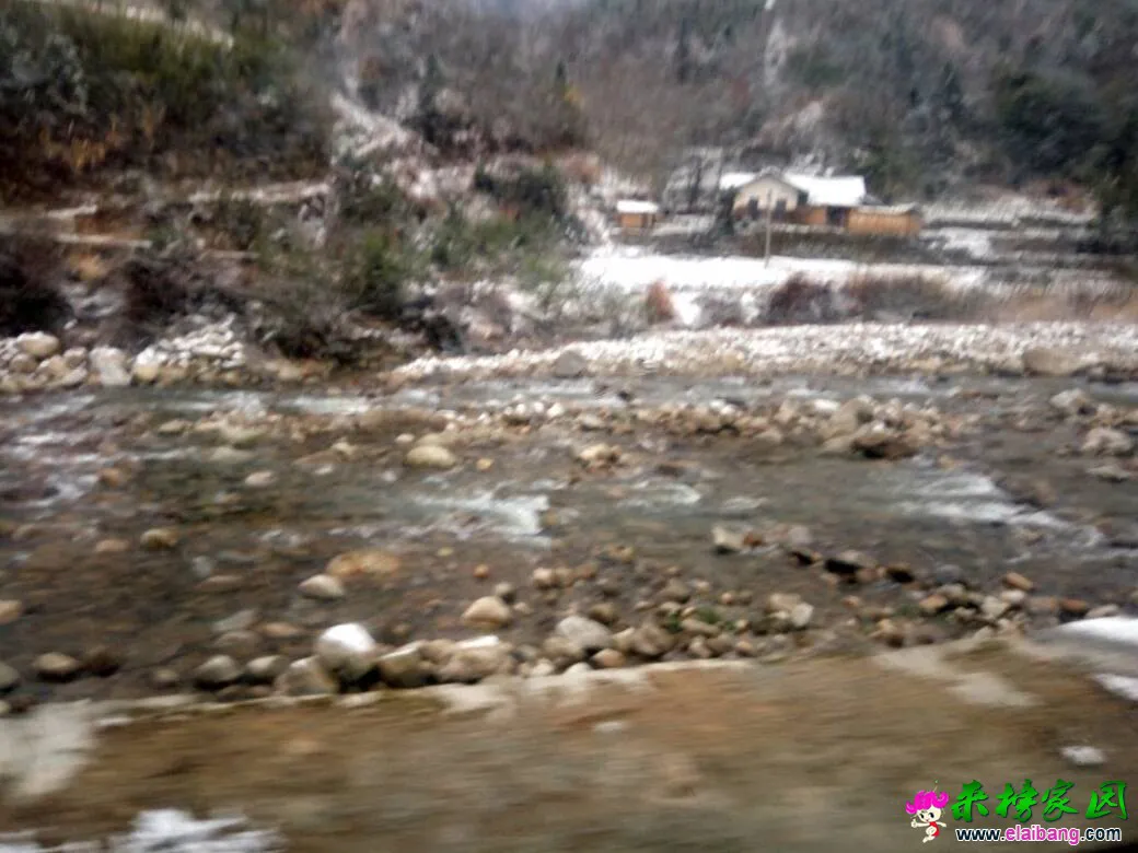 110351i3auzefp4zm7kfu9.webp