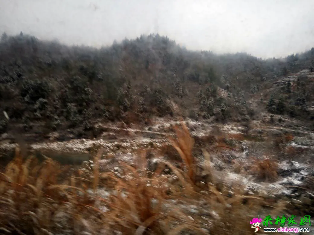 110352dn4mxhtghmbfgrlm.webp