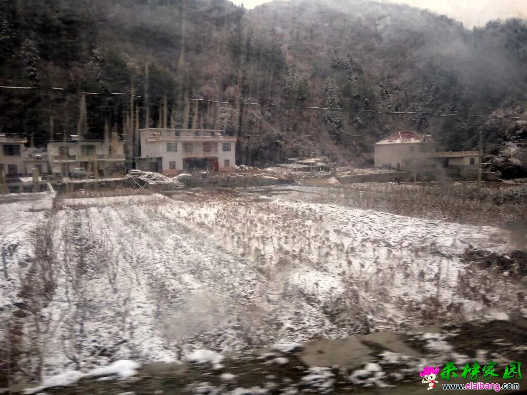110352o26ifc2iwc2tdcc2.webp