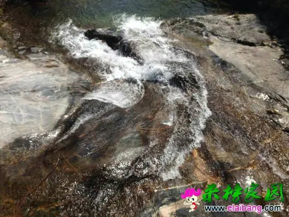 132234qujf25s6sii28a2d.webp