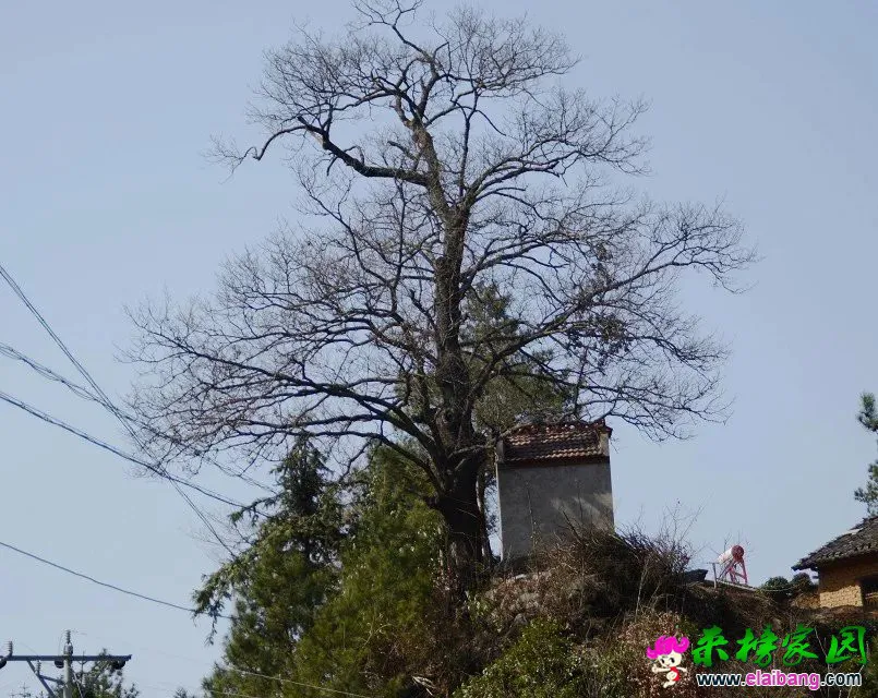 psb (37).webp