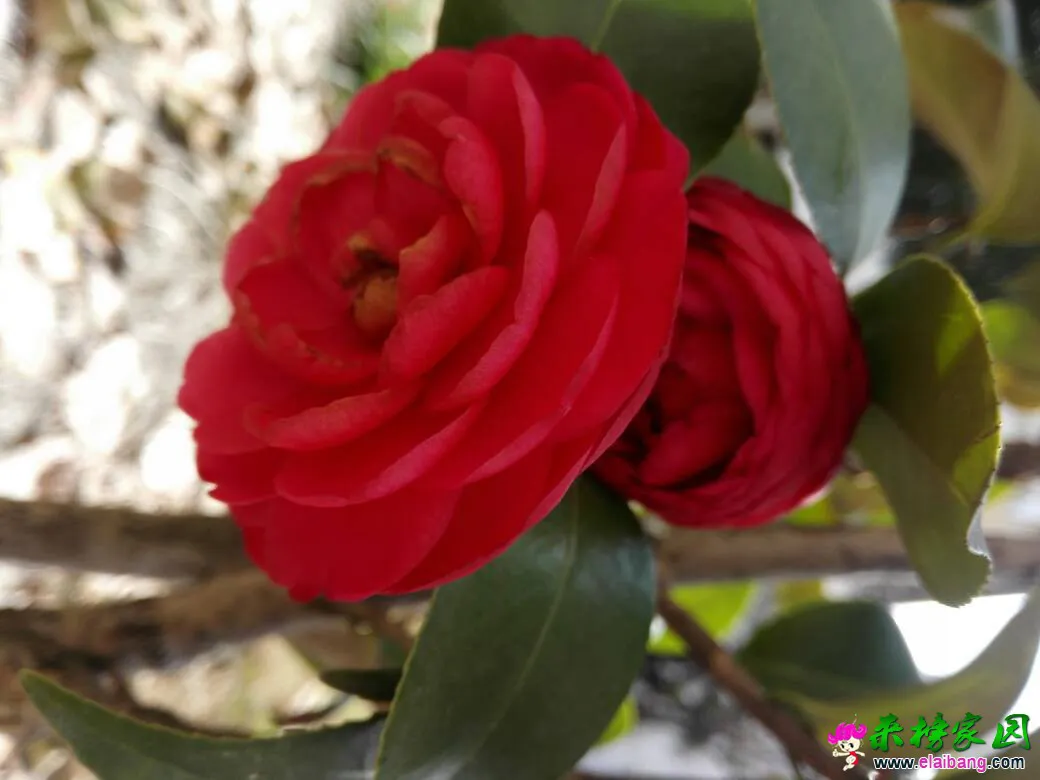 112937mr62w4y8p20tt02g.webp