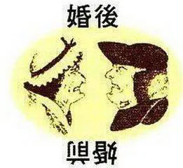 201319rvmqnq7e6qt2jjtp.webp