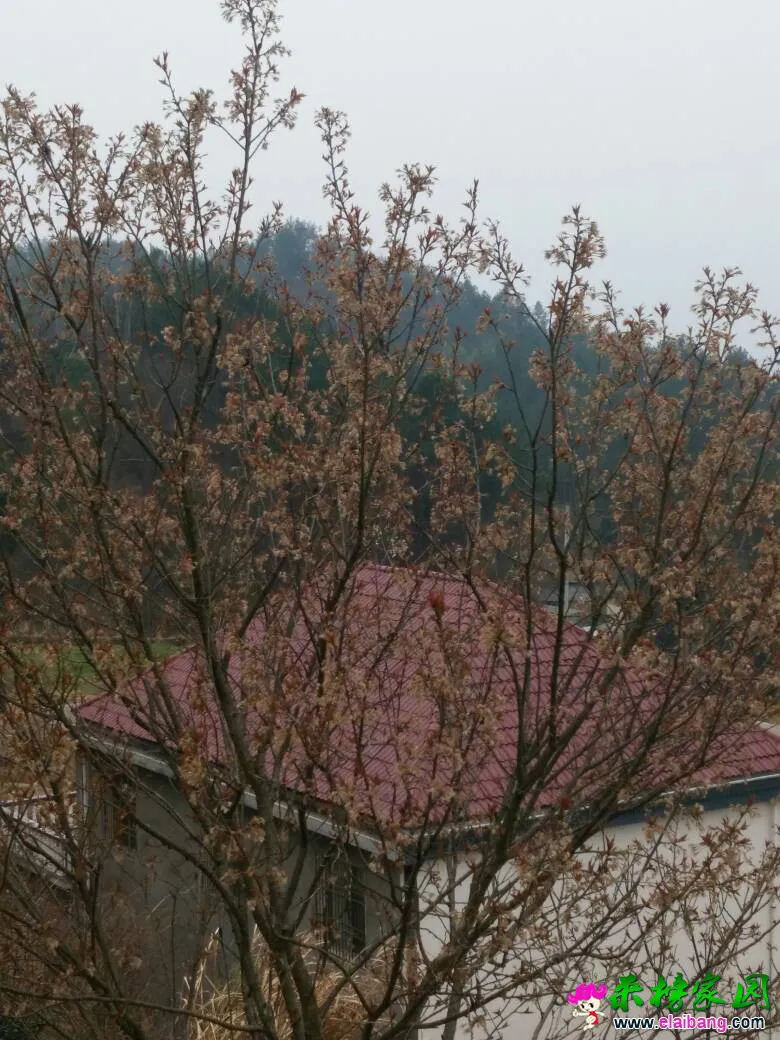 164508e5j5zrbzoonovjbq.webp