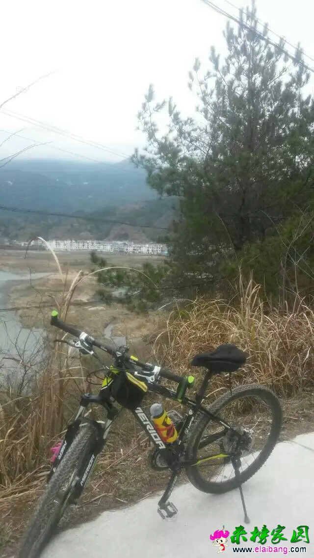 170401pdau848u28gf8458.webp