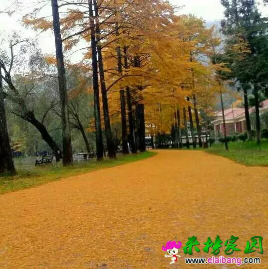 143902q9sbxdzpyl99h1jy.webp