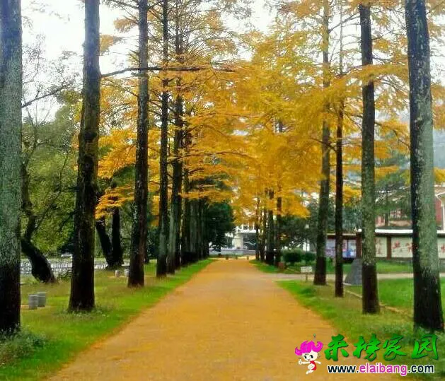 143904dvmmc44spc52xrm6.webp