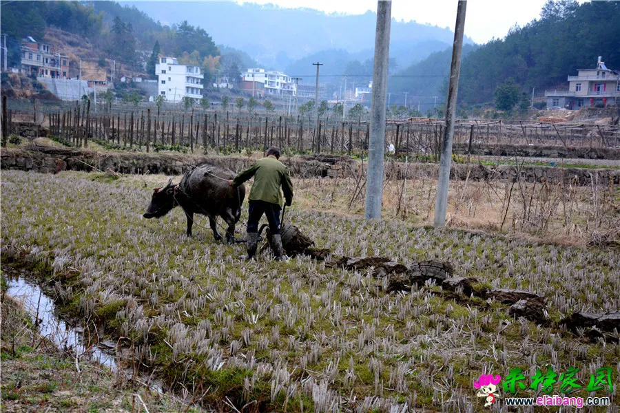 DSC_1184.webp