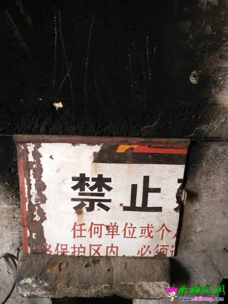 121717dcxbx3cc6chh7evu.webp