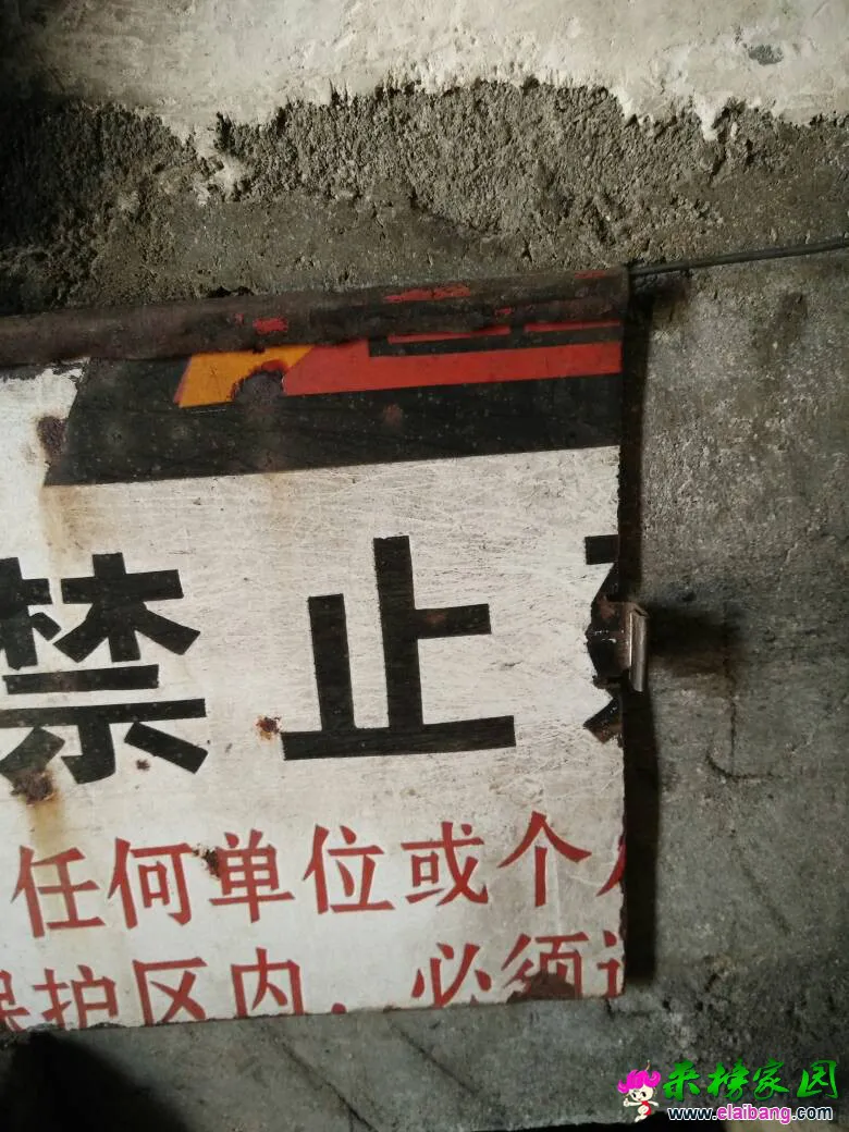 121718bf0lf50btofggohy.webp