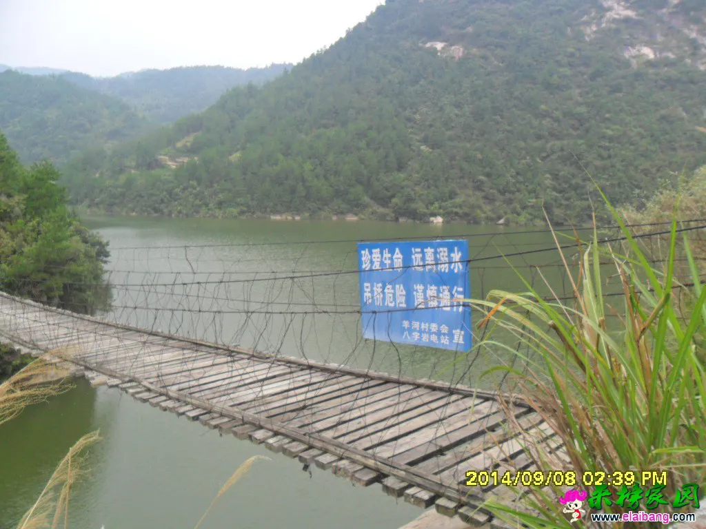 200648y28ilr8tbkugkwpu.webp