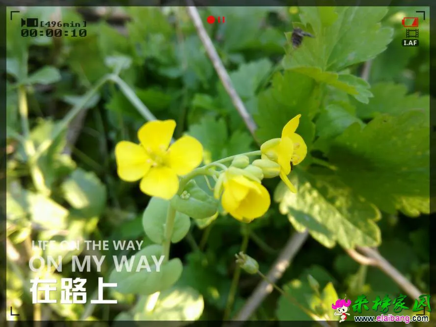 184928d99zh1ebnsnrh9ib.webp