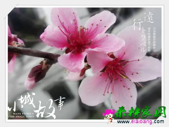 184928fpo5z57lbb2l7llj.webp