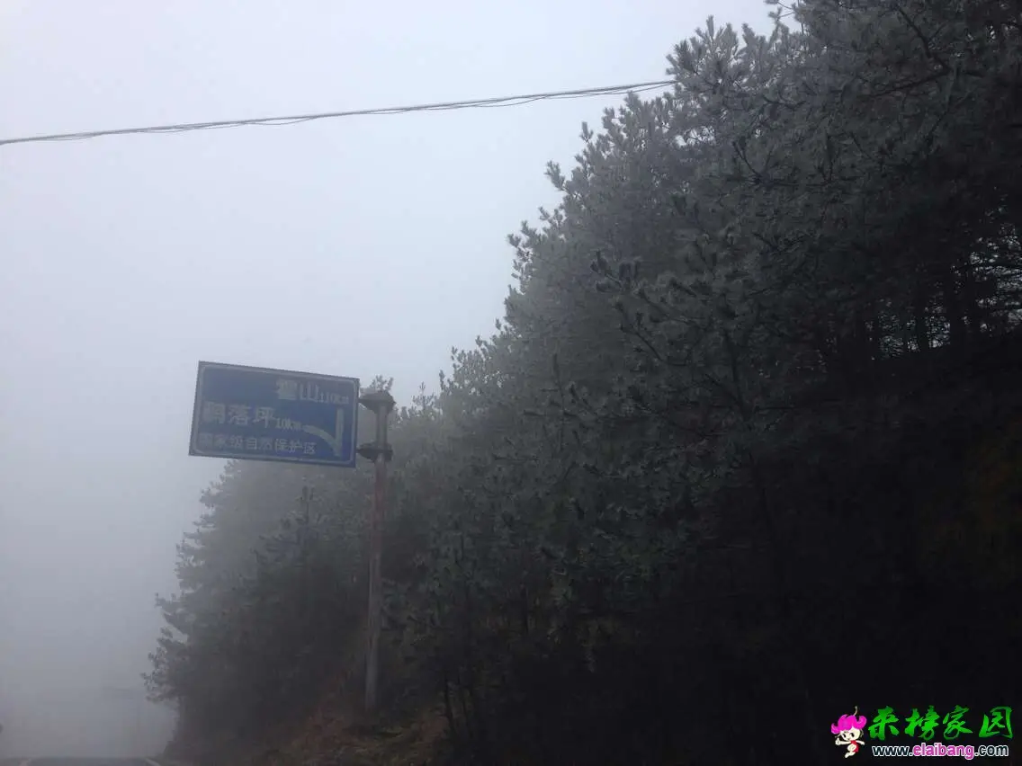QQ图片20160326171938.webp