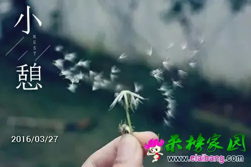 5.webp
