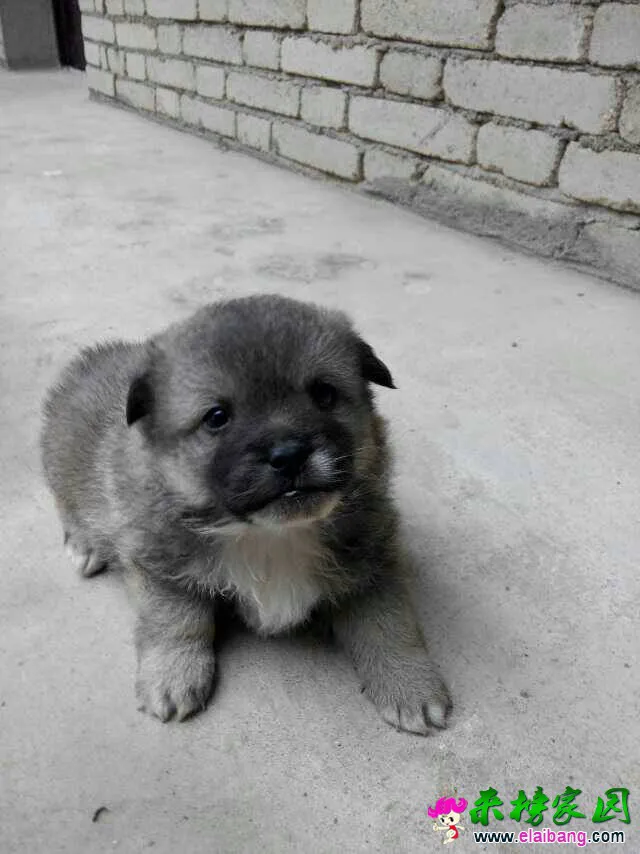 120500bzmr4krb4yaezon4.webp
