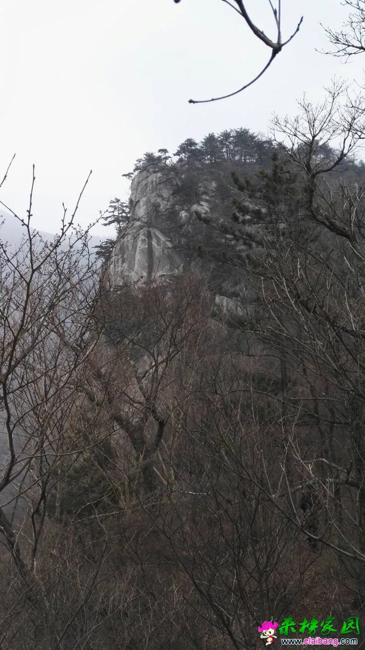 151256gnmmleg5zgwi6lge.webp