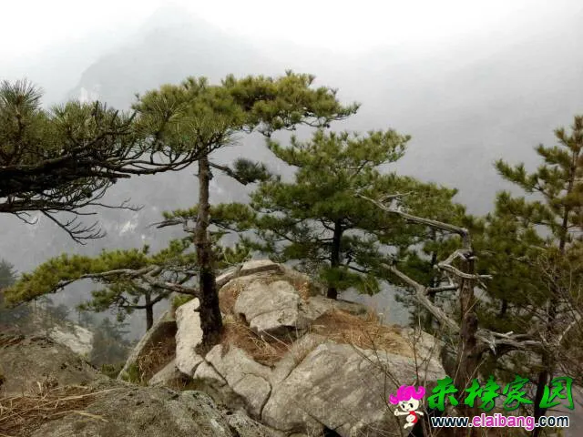 151259asqf0io5sqtm7hdr.webp