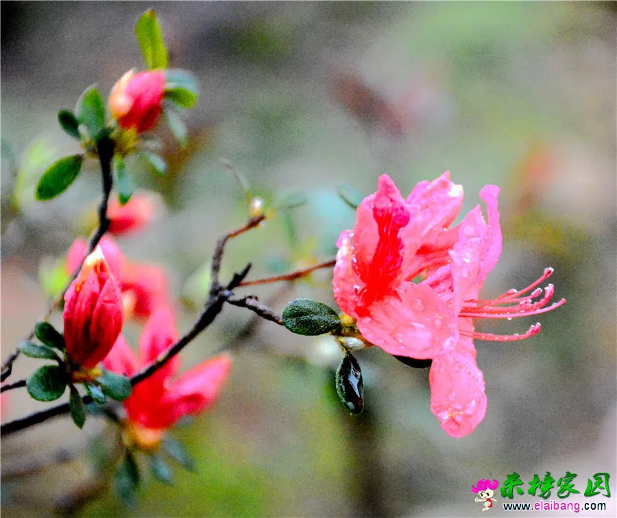 DSC_1297.webp