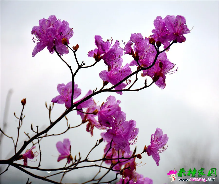 DSC_1340.webp