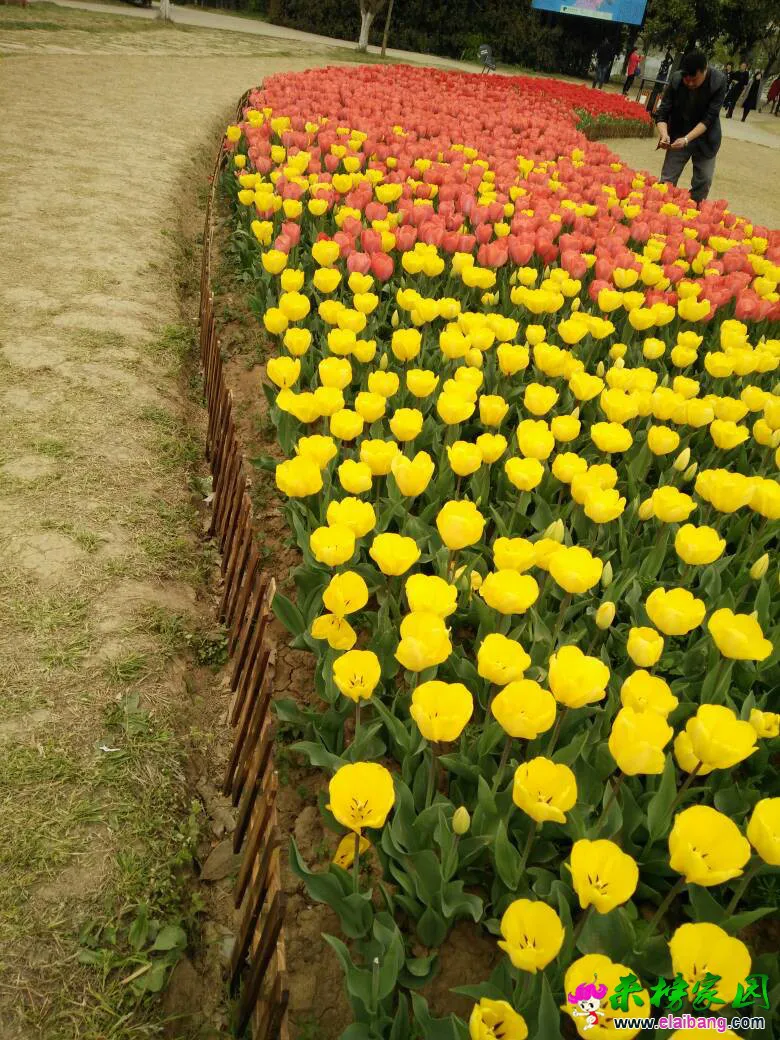 214031h83d8qggvy3hktpf.webp