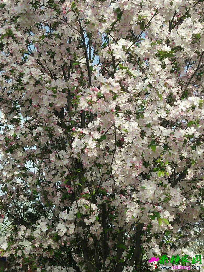 230219k1e6ysydlkf0typt.webp